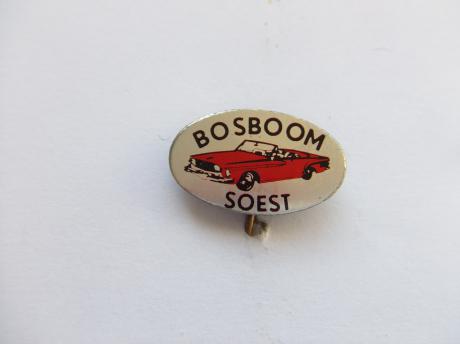 Bosboom oldtimers